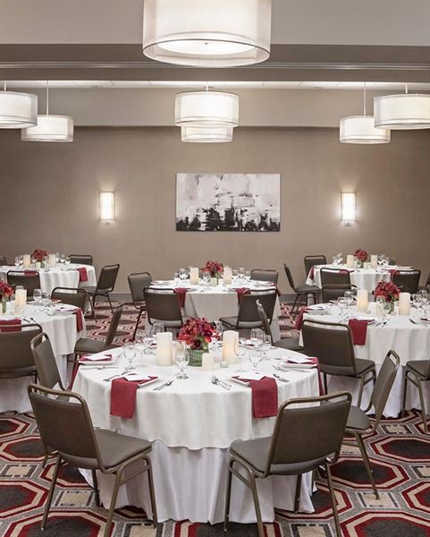 Cambria Hotel White Plains - Downtown