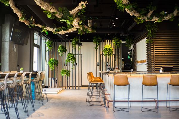 Pure Project - Pure at the Park