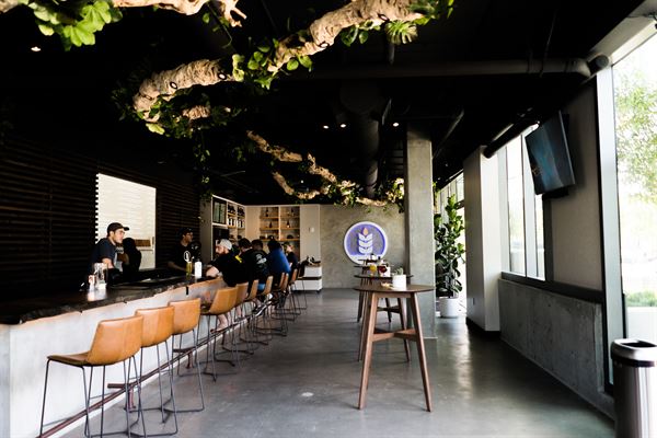 Pure Project - Pure at the Park