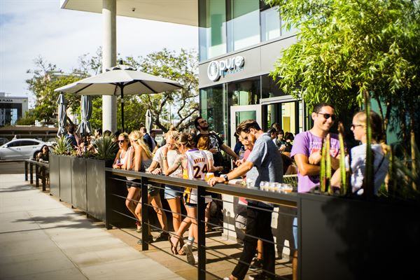 Pure Project - Pure at the Park