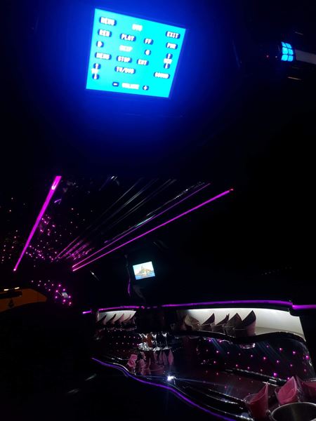 Miss Limousine Service LLC