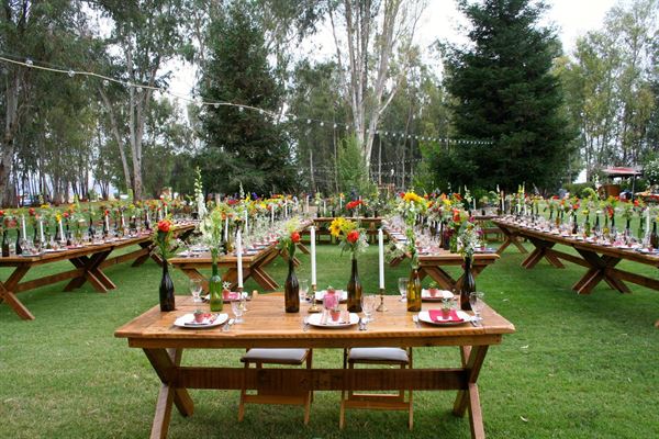 Starlight Grove Events