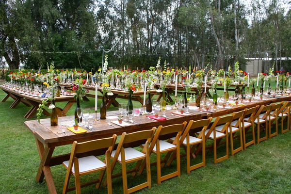 Starlight Grove Events