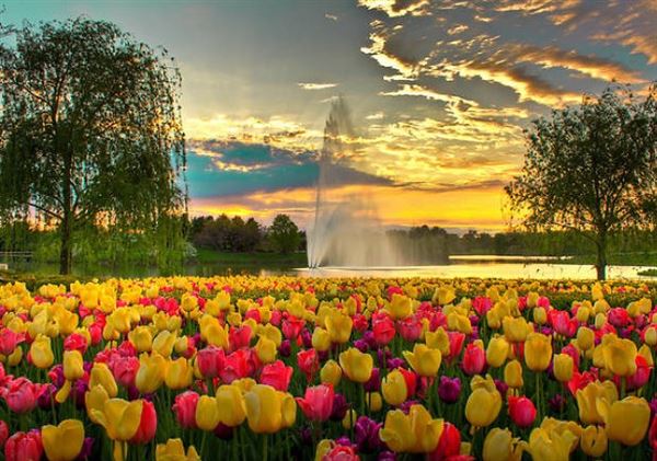 Chicago Botanic Garden