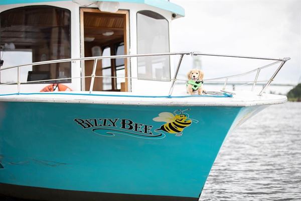 Wilmington Water Tours