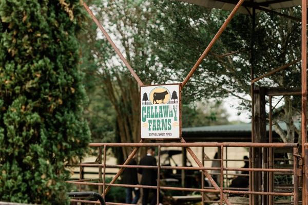 The Sale Barn at Callaway Farms Event Venue