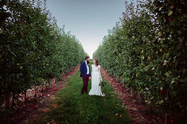 Starry Night Barn & Studios