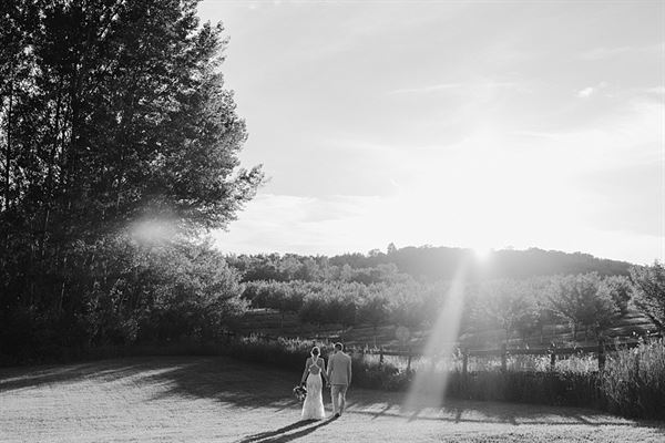 Starry Night Barn & Studios