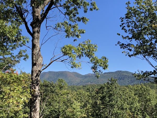 Moonshine Manor Events