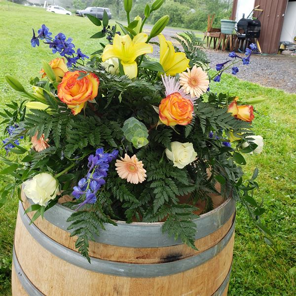 Seneca Lake Brewing Company & The Beerocracy