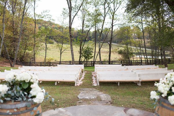 The Vineyard at High Holly