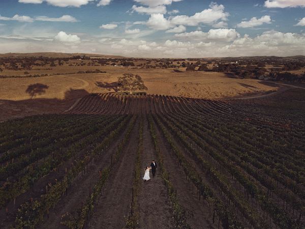 David Martin Jr Photography