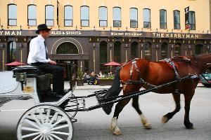 Chicago Horse & Carriage LTD