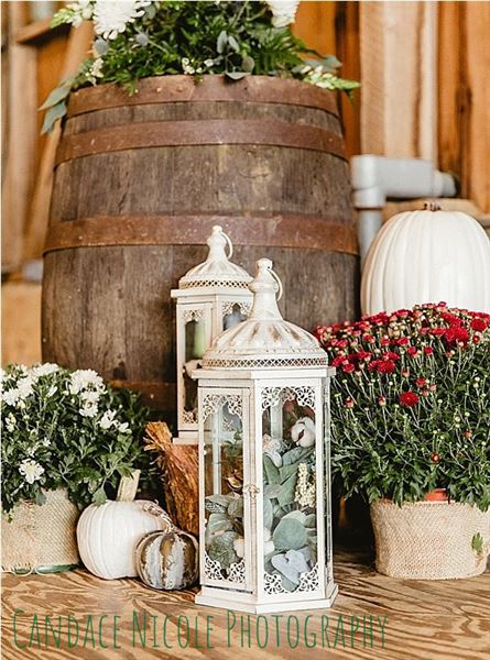 Jefferson Patterson Park & Museum