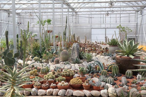 International Peace Garden