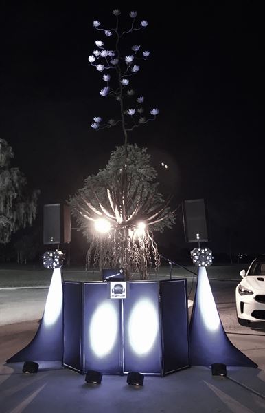 Own The Night Entertainment