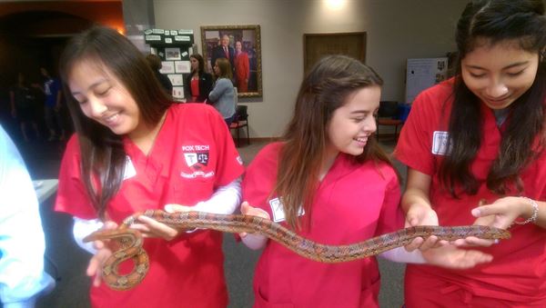 Learn Nature/Party Animals