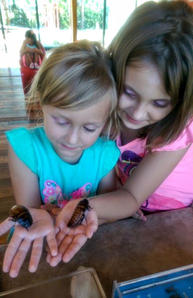 Learn Nature/Party Animals