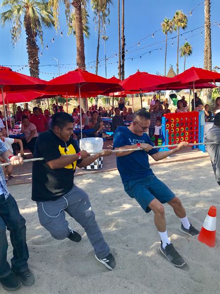 Fiesta Village Family Fun Park