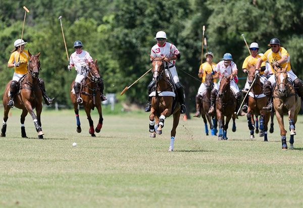 Tulsa Polo Club Parties, Events & Fundraisers