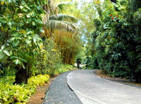 Smith's Tropical Paradise