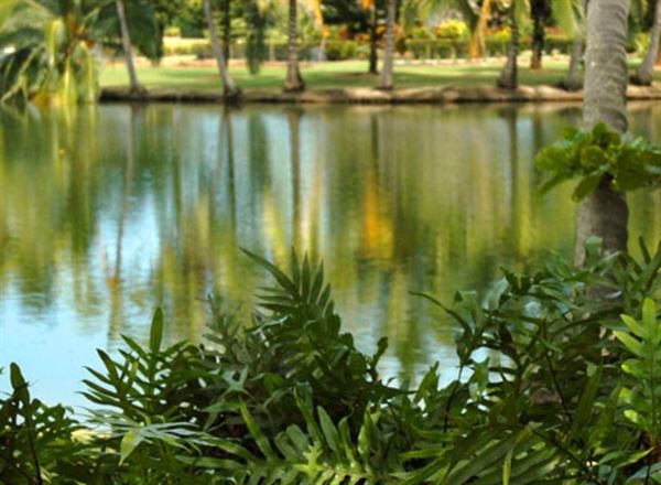 Smith's Tropical Paradise