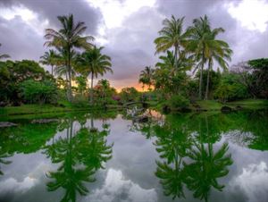 Na Aina Kai Botanical Gardens