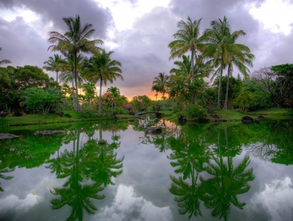 Na Aina Kai Botanical Gardens