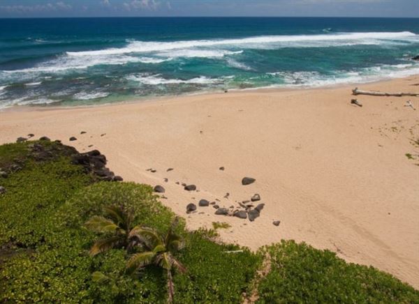 Na Aina Kai Botanical Gardens