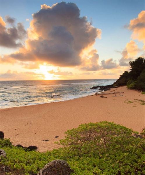 Na Aina Kai Botanical Gardens