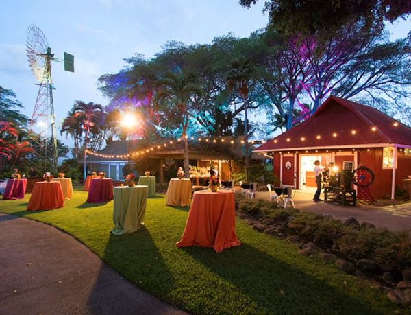 Maui Tropical Plantation