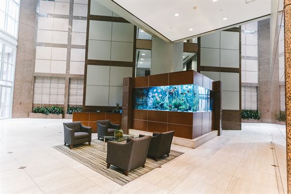 WorkSuites-Preston Hollow-Meadow Park