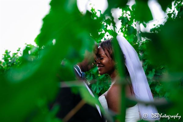 Rosemont Vineyards & Winery