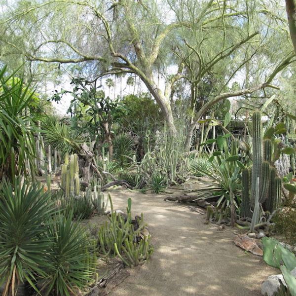 Moorten Botanical Garden