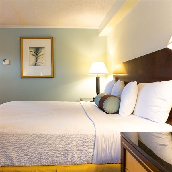 Bedford Plaza Hotel - Boston