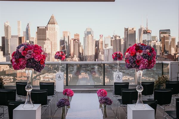 Scarlett Expressions