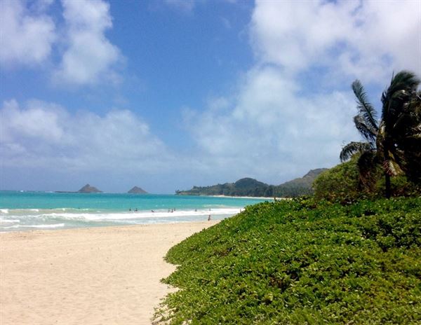 Kalama Beach Club