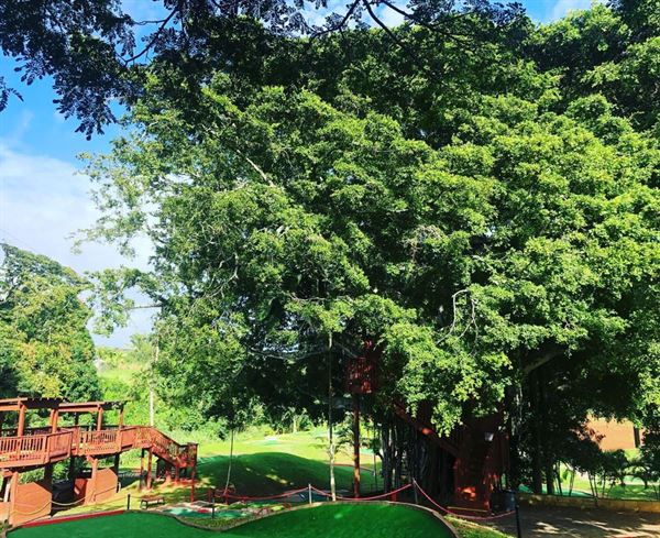 Bay View Mini-Putt and ZIpline