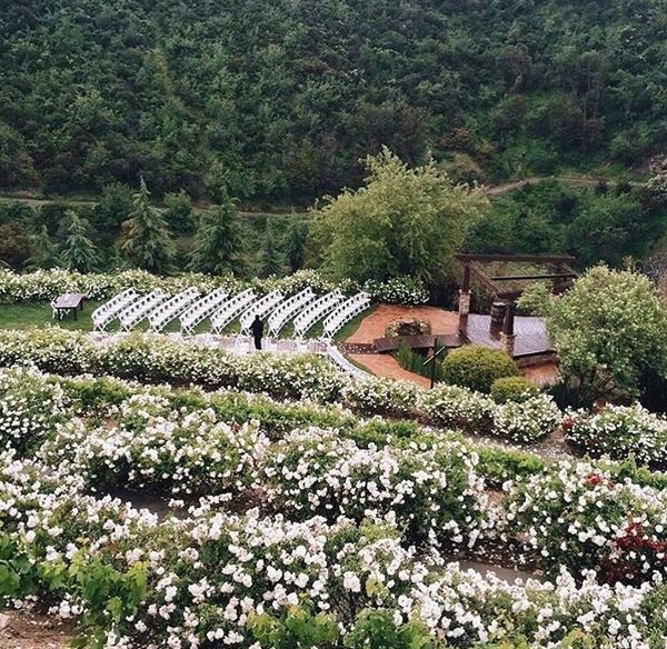 Serendipity Garden Weddings