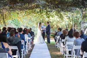 Garden and Grape Arbor