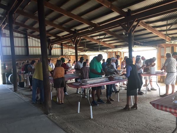 Krafty in the Kitchen
