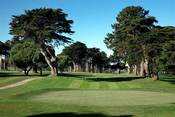 TPC Harding Park