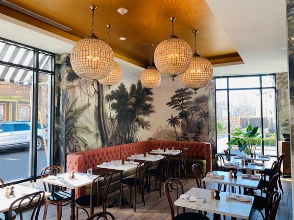 Petit Robert Needham