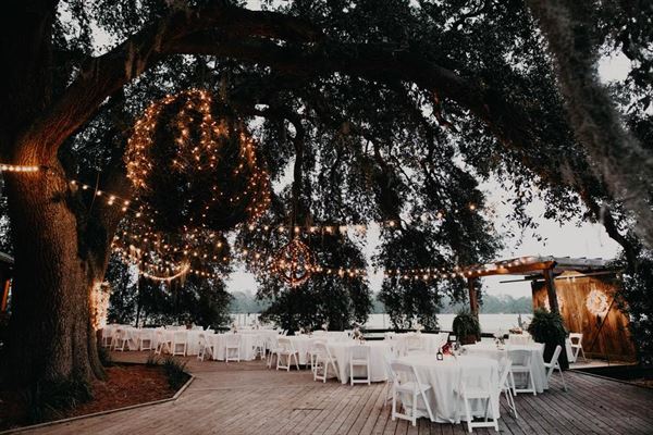 Gin Creek Plantation