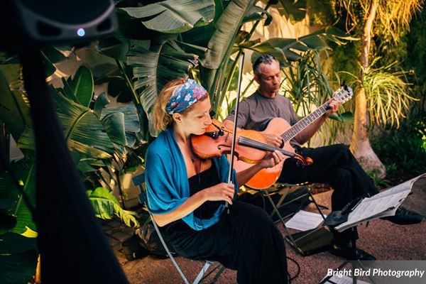 California Magic Strings