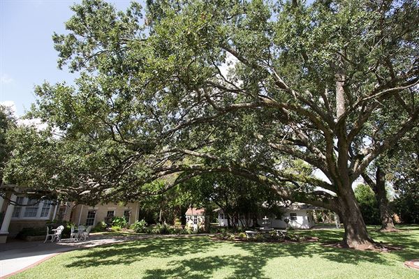 The Gardens at Madeley Manor
