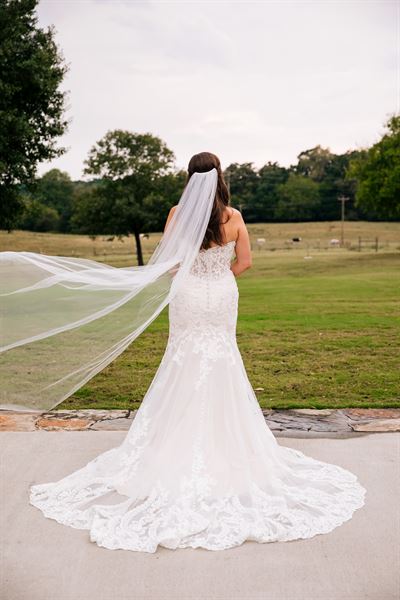 Honey + Thyme Events