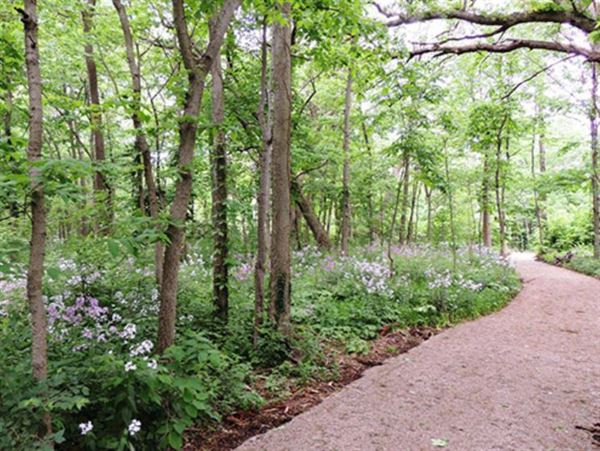 The Lakeside Association