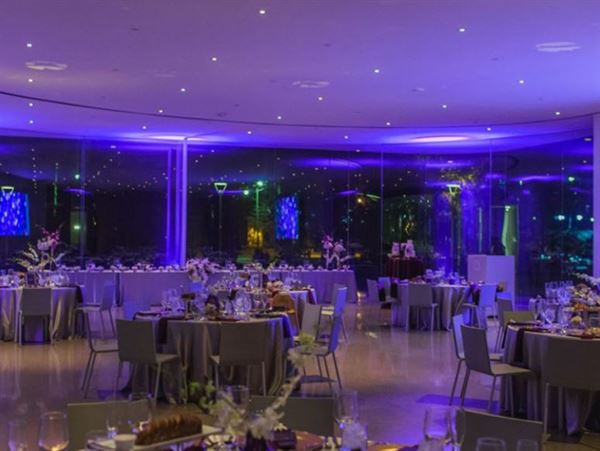 Toledo Museum of Art