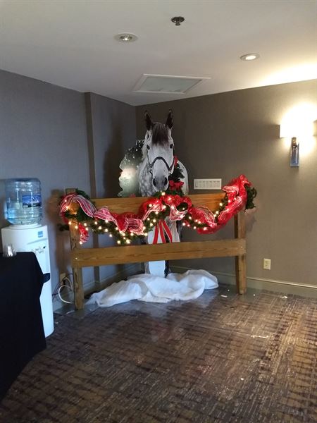 Sunbelt Convention Services